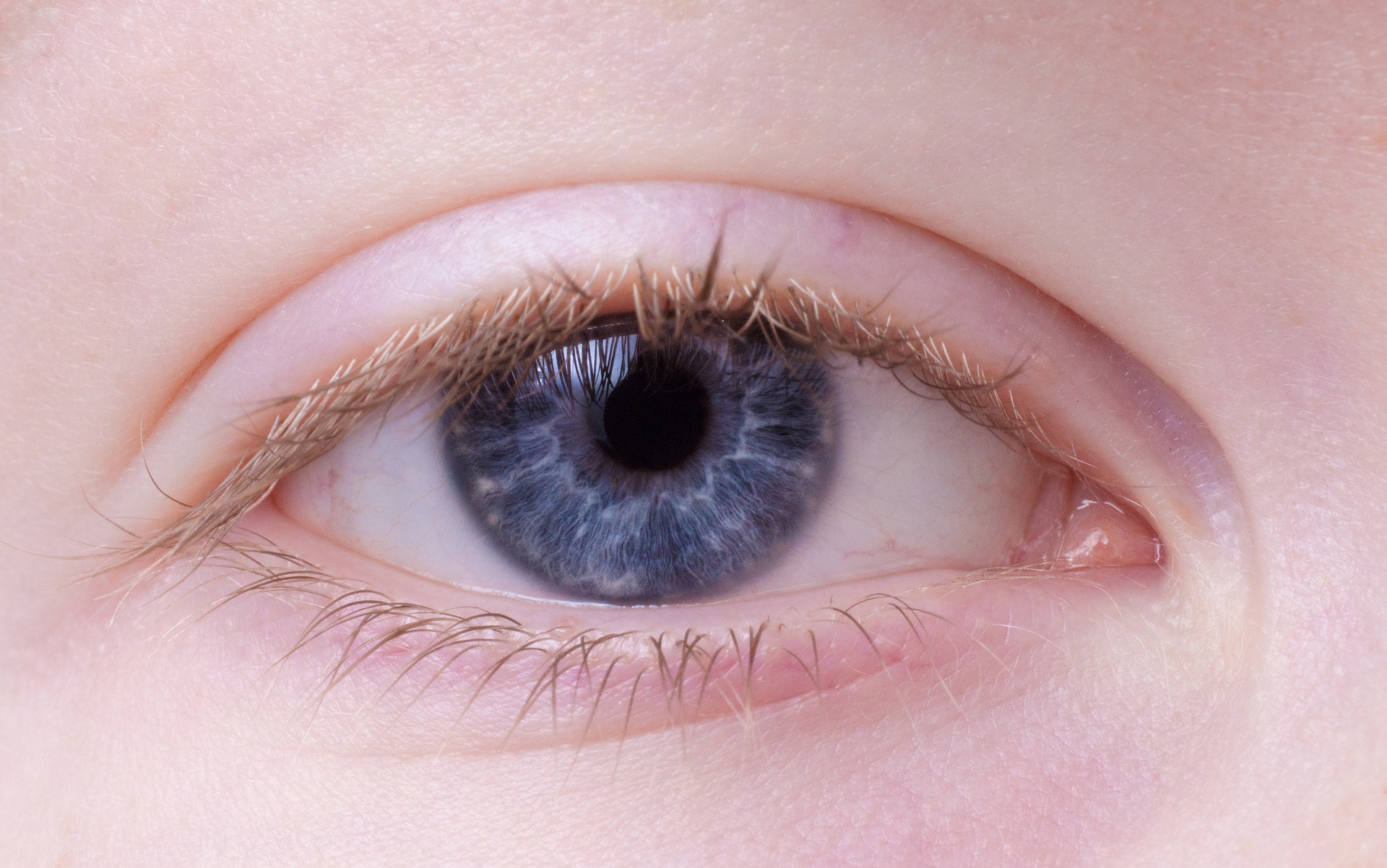 a beautiful eye